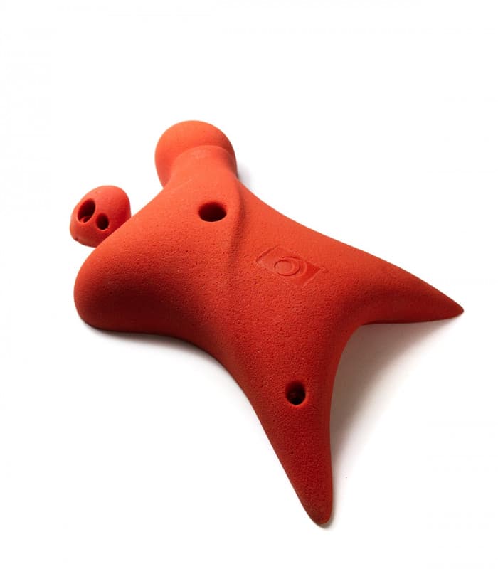 Presas de escalada velocidad- speed holds